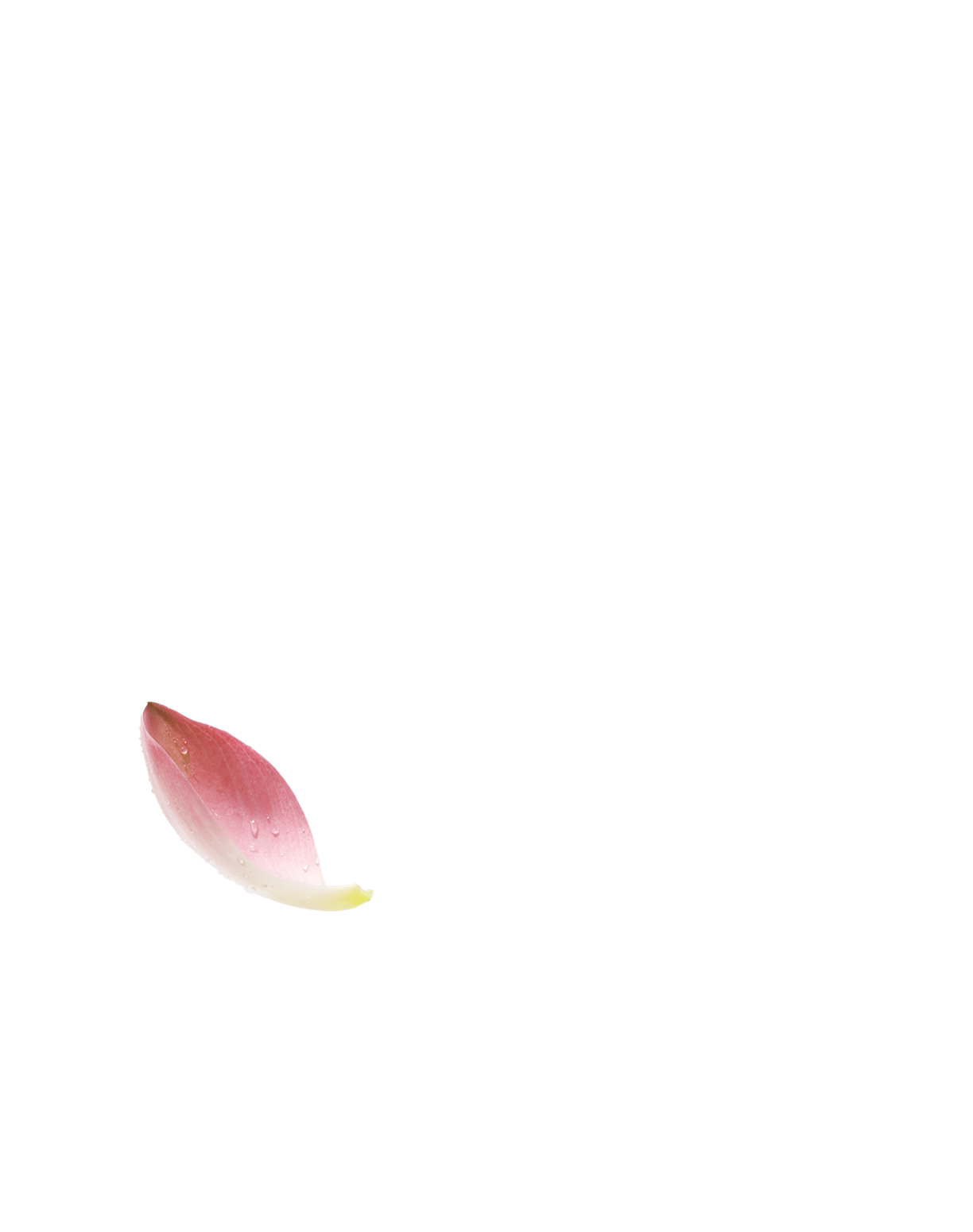 1 Canh-Sen-Trai.png