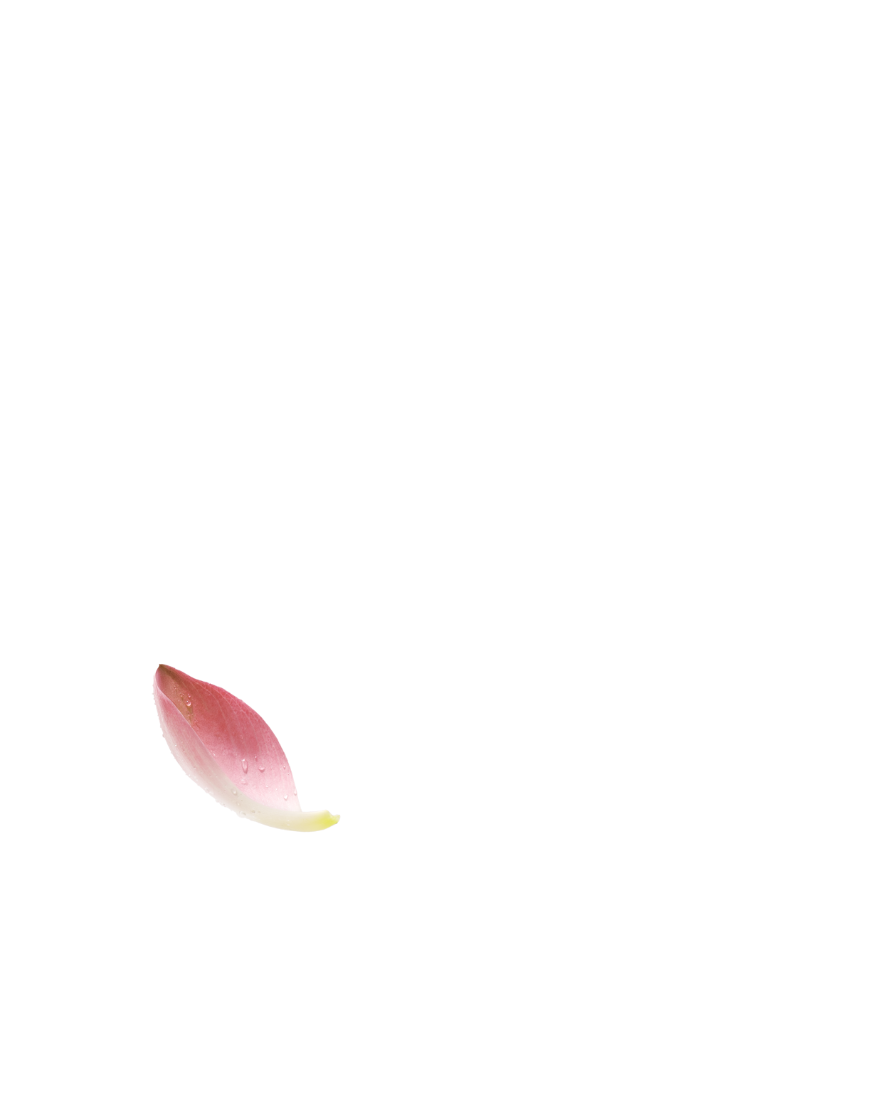 1 Canh-sen-trai.png