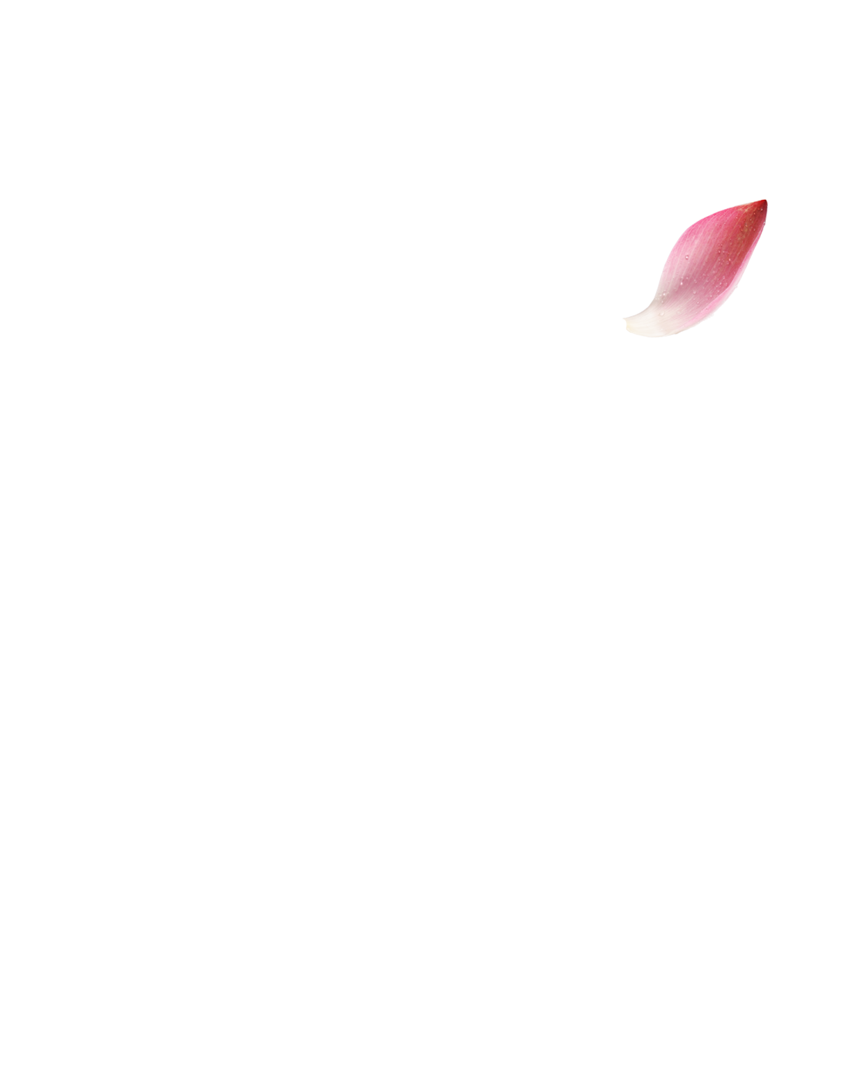 3 Canh-Sen-Phai.png
